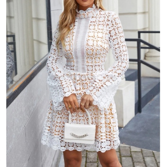 Luxurious mesh insert lace dress - Picture 7 of 7